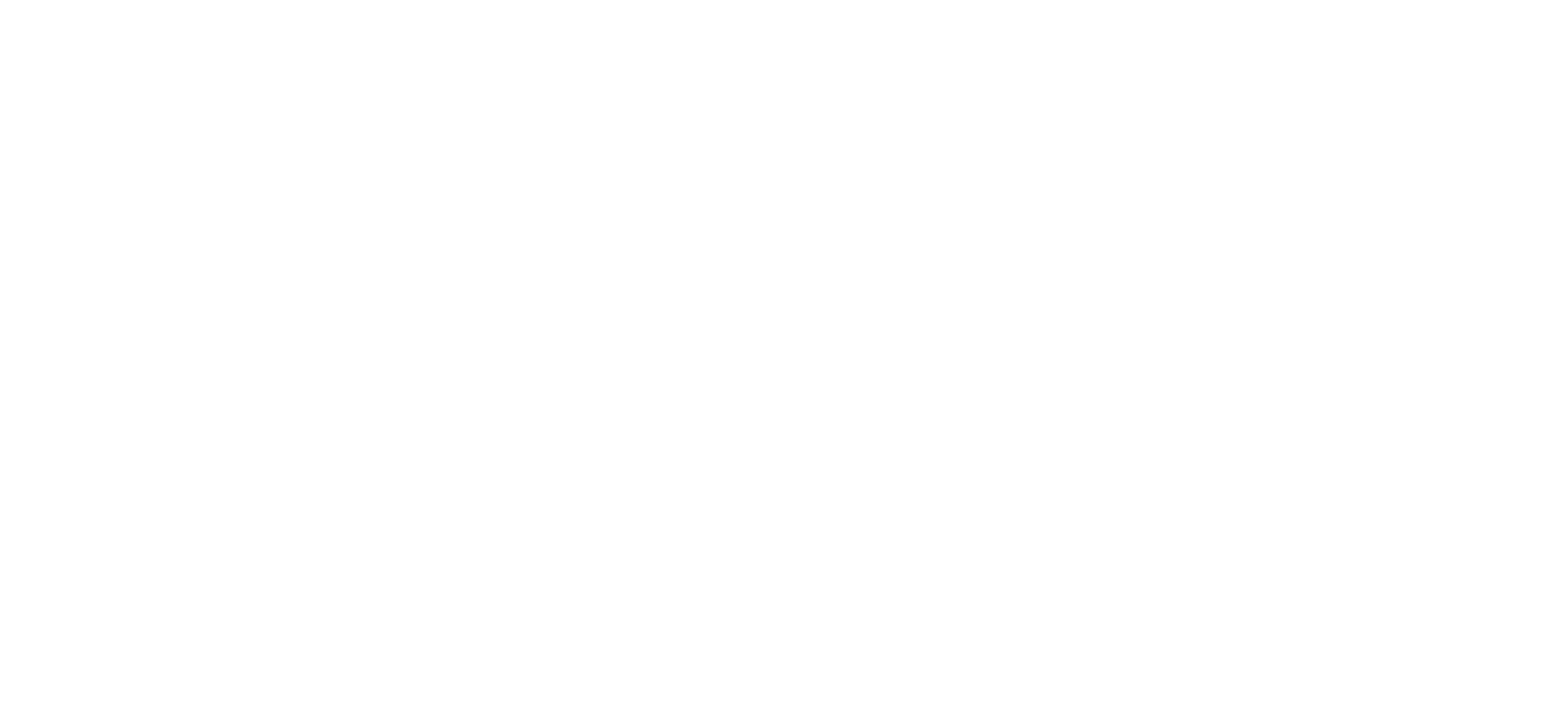 BION Logo